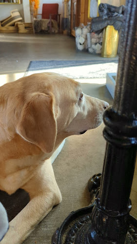 Aoife Coffee - Gastronomi og hotelvirksomhed