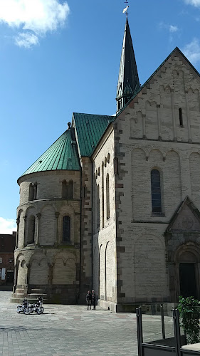 Kolvig - by Skovmose - Ribe