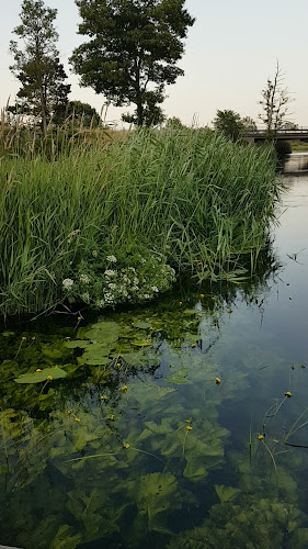 Opinii despre Kongensbro Kro în Silkeborg - Gastronomi og hotelvirksomhed