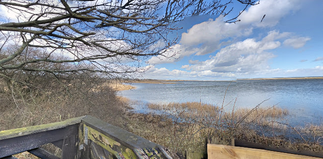 Opinii despre Revle Kiosken în Køge - Gastronomi og hotelvirksomhed