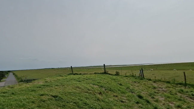 Opinii despre Kammerslusen în Ribe - Gastronomi og hotelvirksomhed