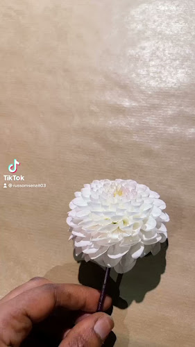 Ålholm Pizza & Grill