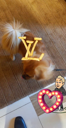 Comentarii opinii despre Cafe EUROPA 1989