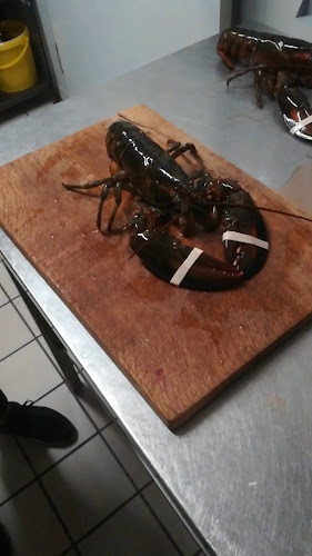 Opinii despre Bybjerggård în Frederikssund - Gastronomi og hotelvirksomhed