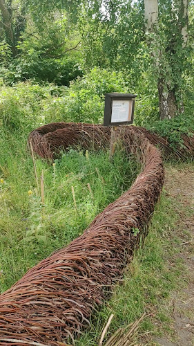 Comentarii opinii despre BaneGaarden