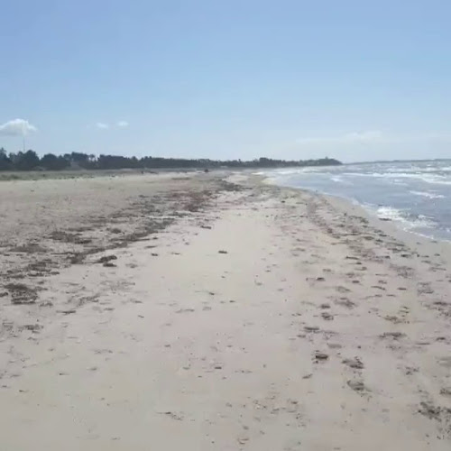 Opinii despre Restaurant Kobæk în Skælskør - Gastronomi og hotelvirksomhed