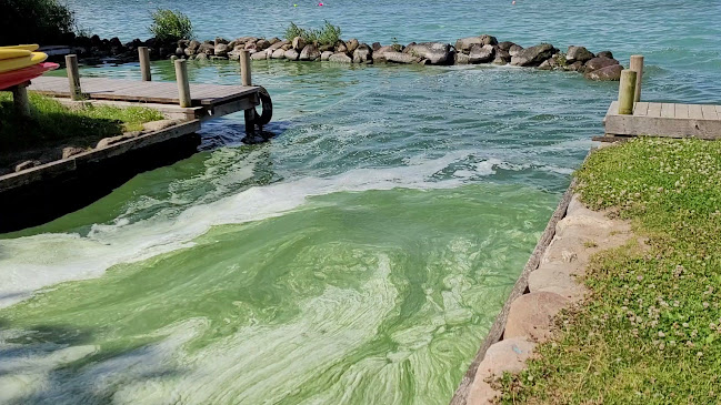 Skipperhuset Fredensborg - Fredensborg