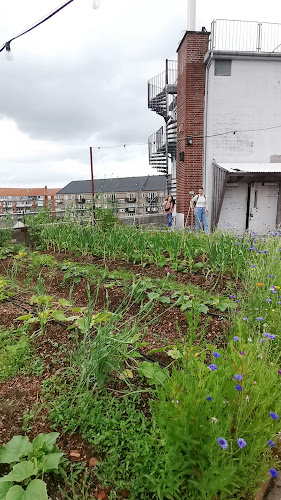 Opinii despre Gro Spiseri în Østerbro - Gastronomi og hotelvirksomhed