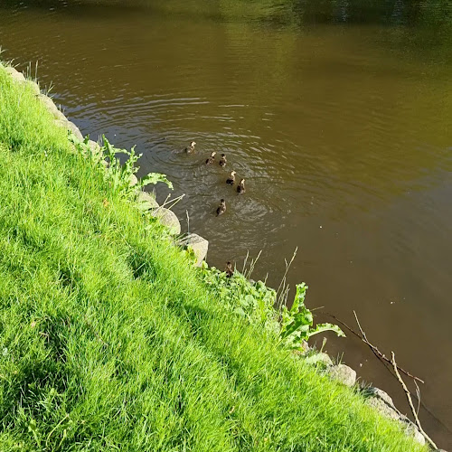 Opinii despre Restaurant Svanelunden în Hjørring - Gastronomi og hotelvirksomhed