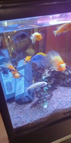 Restaurant Shun Feng