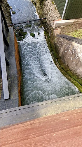 Comentarii opinii despre Restaurant Pøt Mølle - Frijsenborg Slotskro