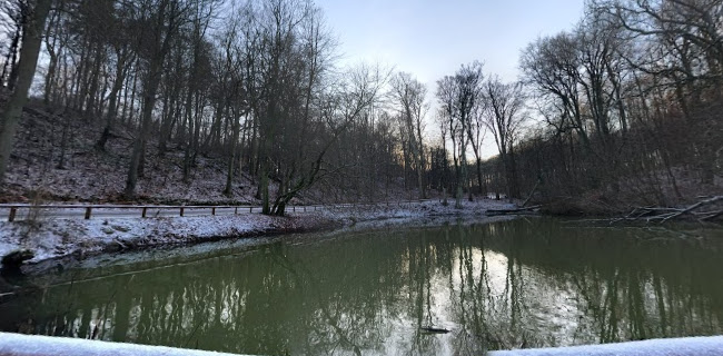 Restaurant Thors Mølle - Aarhus