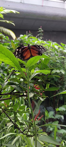 Vesterbrogade 68, 1620 København