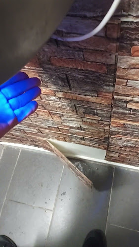 Comentarii opinii despre Restaurant Klubben