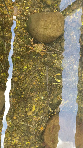 Natur- Og Kulturcafé På Gjøl Havn