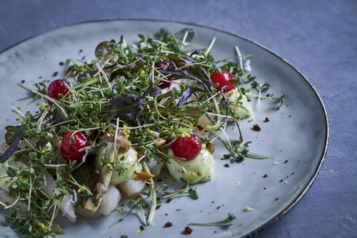 Comentarii opinii despre Schous Brasserie & Bar