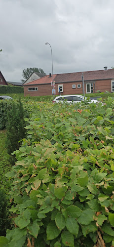 Comentarii opinii despre Snertinge Restaurant og Pizza