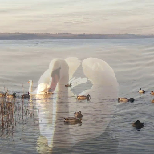 Sørupvej 1, 3480 Fredensborg