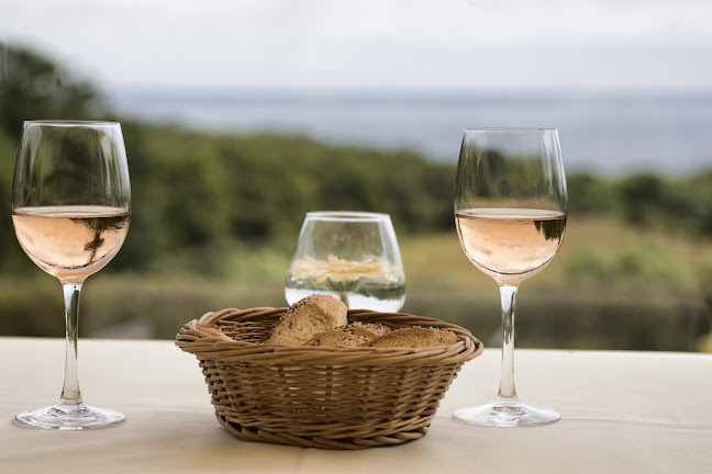 Restaurant Skamlingsbanken I/S v/Karina Poulsen og Niels H Sohl - Sjølund