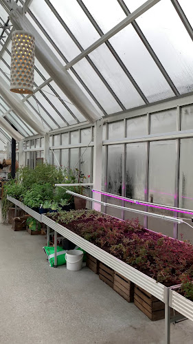 Comentarii opinii despre Noma