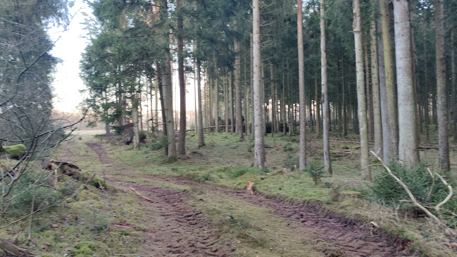 Comentarii opinii despre Grillplads Kompedal Plantage