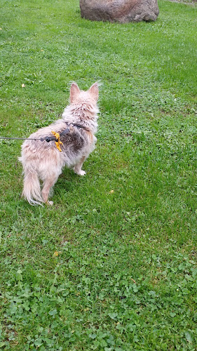 Bryggeri Skovlyst - Gastronomi og hotelvirksomhed