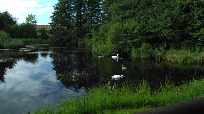 Restaurant Kongemosen