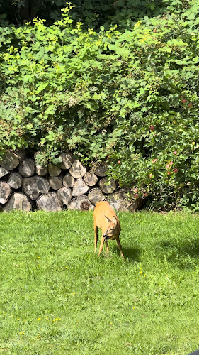 Den Gamle Grænsekro - Gastronomi og hotelvirksomhed