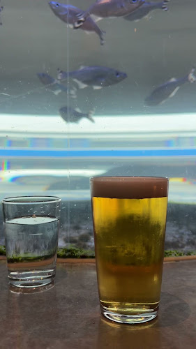 Kødbyens Fiskebar - København