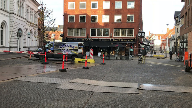 Ryan's of Odense - Gastronomi og hotelvirksomhed