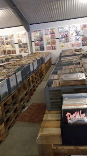 Vejlevej 50, 7300 Jelling