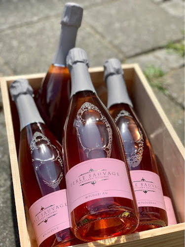 Opinii despre Aarhus Vinhandel în Aarhus - Gastronomi og hotelvirksomhed