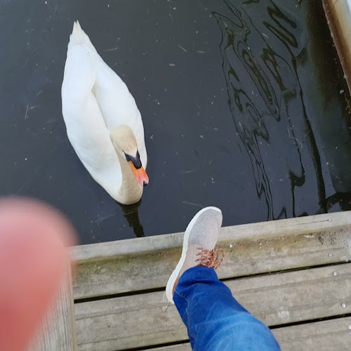 Svanelunden 6, 9800 Hjørring