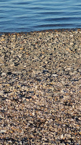 Gullerup Strand Kro - Gastronomi og hotelvirksomhed