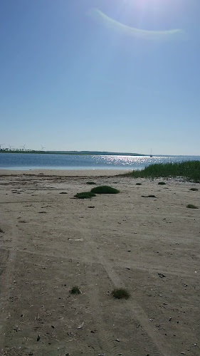 Comentarii opinii despre Café Odden/ Hillbilly Grill