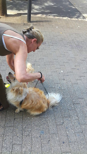 Café Kræz - Odense