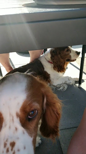 Restaurant Bondehuset