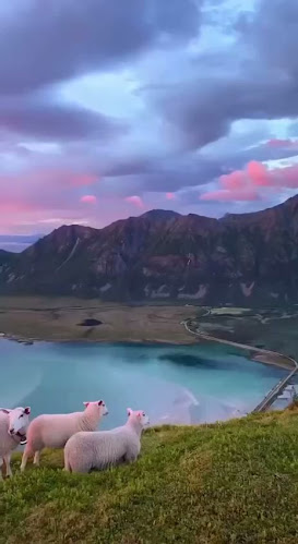 Opinii despre Sunset Boulevard în Hedensted - Gastronomi og hotelvirksomhed