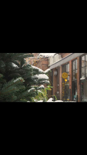 Comentarii opinii despre The Pie Project