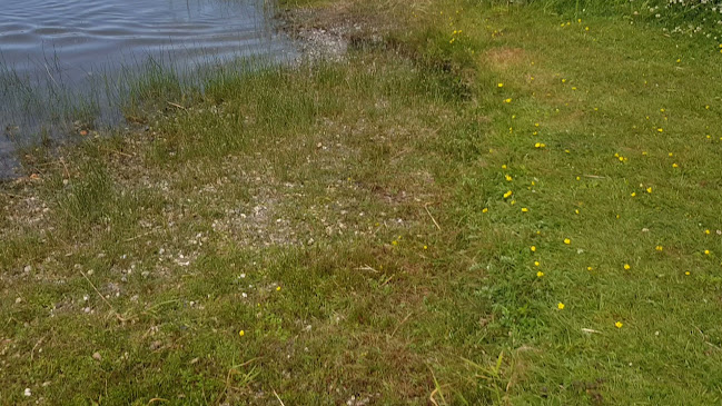 Comentarii opinii despre Vesterhavshytten