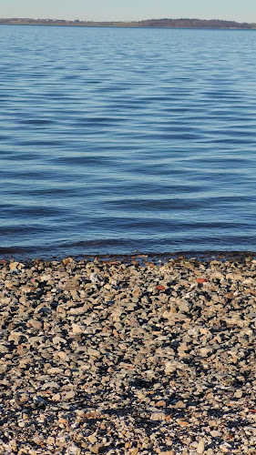 Opinii despre Gullerup Strand Kro în Erslev - Gastronomi og hotelvirksomhed