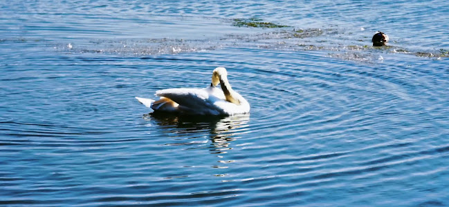 Damhusdæmningen 2B, 2720 Vanløse