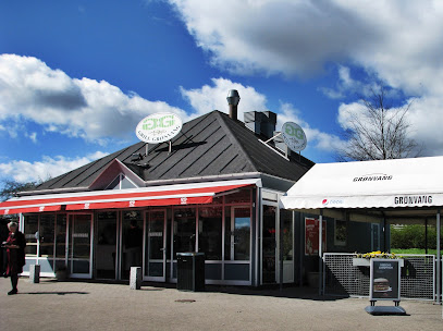 Grønvang grill