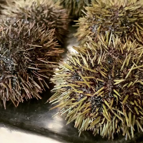 Opinii despre Selfish în København - Gastronomi og hotelvirksomhed