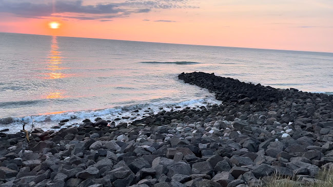 Opinii despre Café Havblik în Hjørring - Gastronomi og hotelvirksomhed