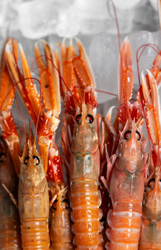 Restaurant Emil - Gastronomi og hotelvirksomhed