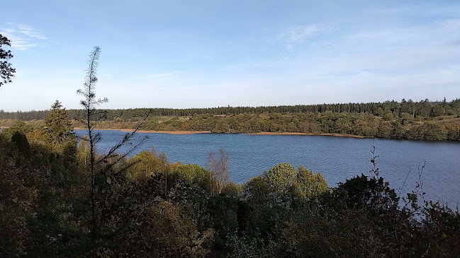 Opinii despre Rørbæk Sø în Give - Gastronomi og hotelvirksomhed