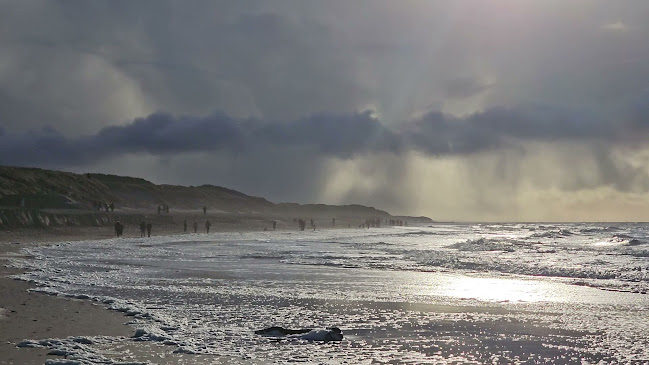 Opinii despre Woodys Søndervig în Ringkøbing - Gastronomi og hotelvirksomhed