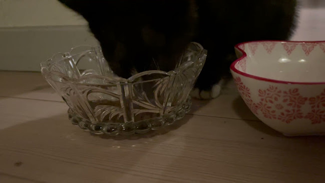 Opinii despre Juice'n ice în Varde - Gastronomi og hotelvirksomhed