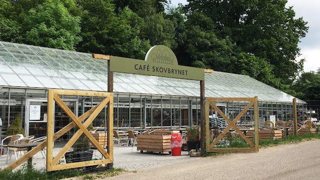 Comentarii opinii despre Cafe Skovbrynet